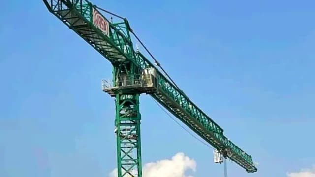 crane