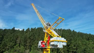 hammerhead-cranes